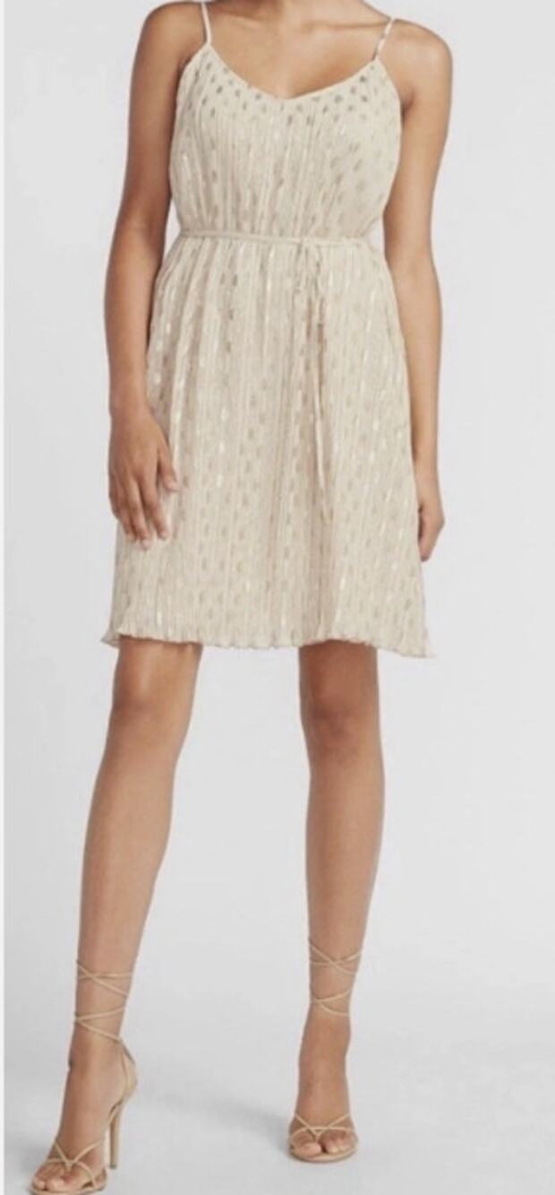 Express Champagne Metallic Chiffon Dress